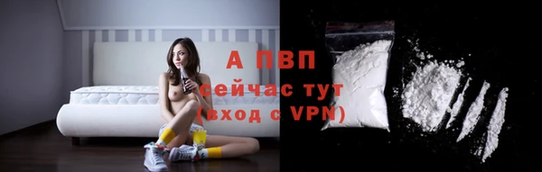 дживик Костерёво