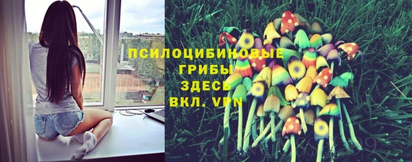 марки nbome Алексеевка