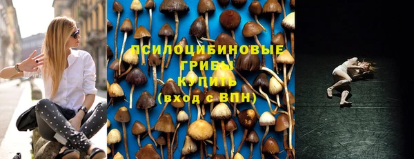Альфа ПВП Алексин