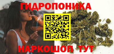 ешки Партизанск