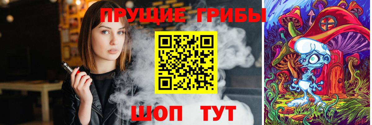 Ухта  Псилоцибиновые грибы Psilocybine cubensis  Галлюциногенные грибы Cubensis  Вход с VPN 